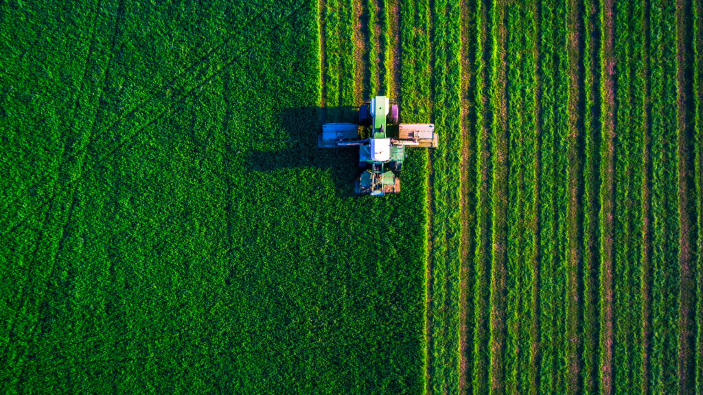 We4broker - Ramo Grandine e Danni Agricoltura